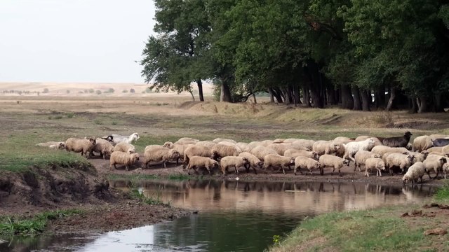 Dracula_ The Dark Prince FULL MOVIE _ Action Movies _ Jon Voight _ Vs Movies World Channel