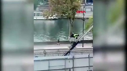 Louvre müzesi böyle soyulmuş, görüntüler ortaya çıktı! Dünyaca ünlü müze skandalında flaş gelişme!