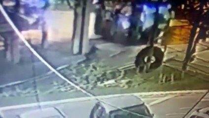 Vídeo mostra momento que criança de 5 anos é atropelada por ônibus em Florianópolis