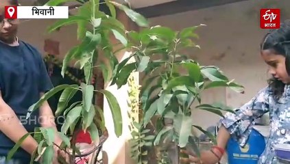 भैया दूज पर भिवानी की बेटियों का दिखा अनोखा अंदाज, पेड़-पौधों को बांधा रक्षा सूत्र, दिया पर्यावरण बचाने का संदेश