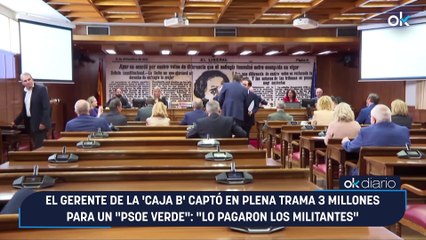 El gerente de la 'caja B' captó en plena trama 3 millones para un "PSOE verde": "Lo pagaron los militantes"