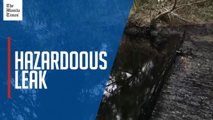 Residents in eastern Mexico report crude oil spill polluting local stream