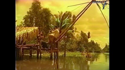 Tài Linh - Hương tóc mạ non [OFFICIAL MV] [4K HD REMASTERED]