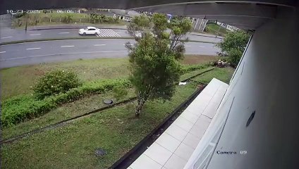 Câmera flagra acidente fatal entre ônibus, carro e moto em Joinville