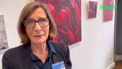 Le collectif l'écArt à découvrir au Palais à Arlon