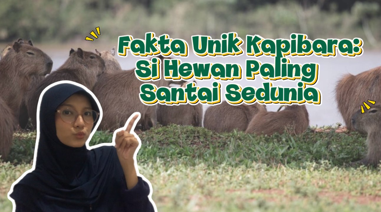 Fakta Unik Kapibara, Si Hewan Tersantai Sedunia-Serius Ini Hewan