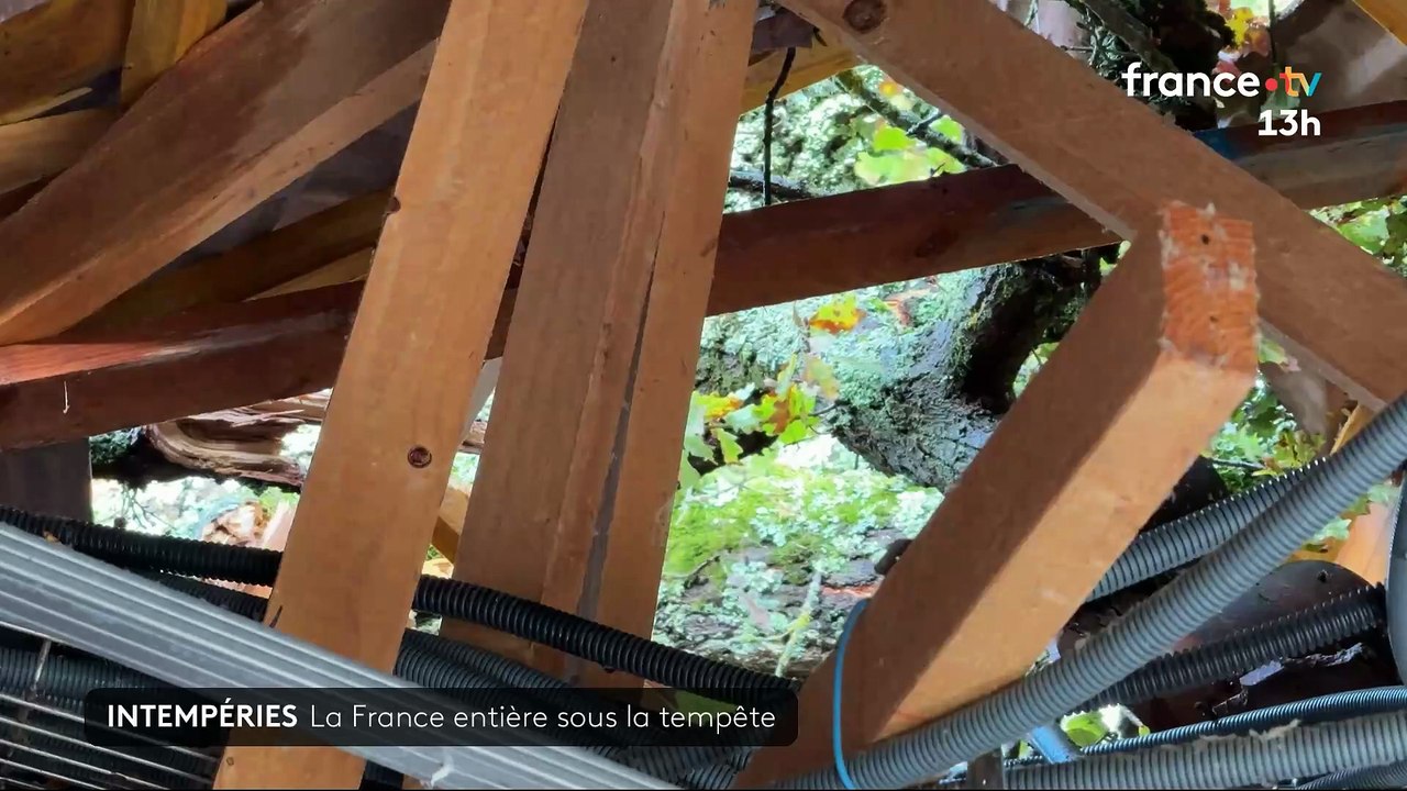 Tempête Benjamin: 11 départements restent en vigilance orange cet après-midi - Plus de 140.000 foyers privés d'électricité - Tous les parcs, jardins publics et cimetières de Paris fermés