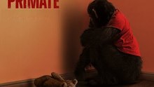 Primate: Trailer HD VO st FR/NL