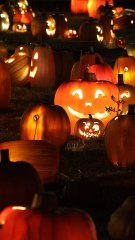 CAM - Halloween, Toussaint, Fête des morts : quelles sont les différences entre ces 3 fêtes ? (1)