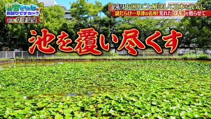 相葉ヒロミのお困りですカー？2025年日10月23日 【ヒロミ＆相葉雅紀】お困りごとを全力解決！初回2時間SP