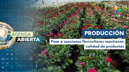 Floricultores sufren consecuencias de las sanciones en Venezuela