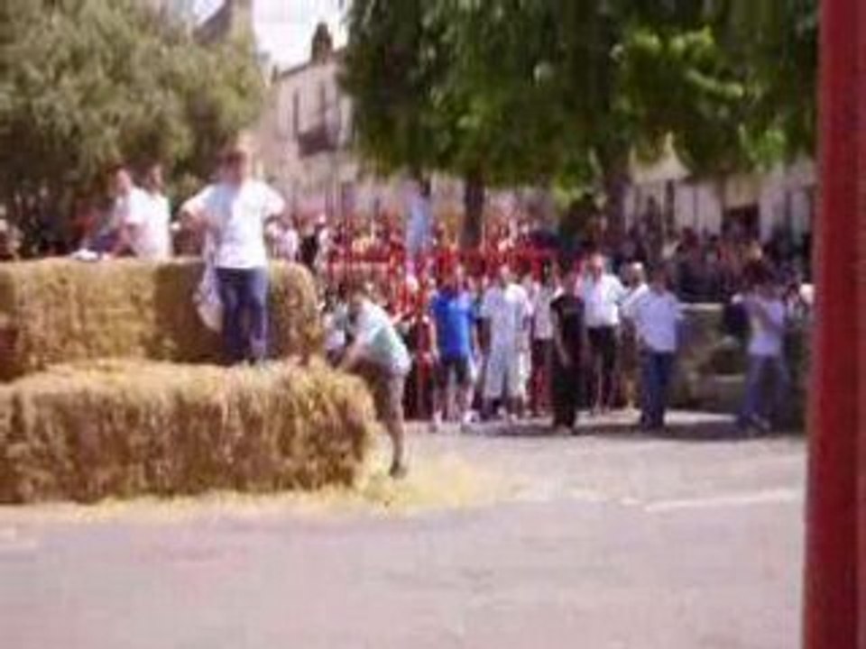 Encierro Castries 18 mai 2008 Manade du Levant (1)