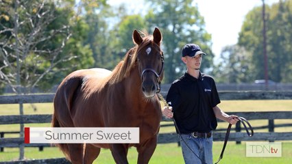 Dam of Breeders' Cup-Bound She Feels Pretty Building on Payson Stud's Legacy