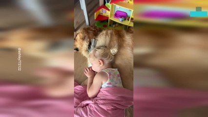 Kid's Adorable Friendship With Their Dog