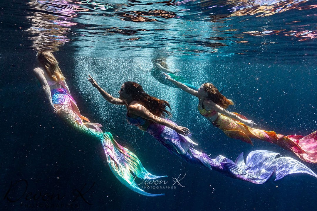 Mermaids at Audubon Aquarium