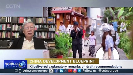 How Do China's 5-Year Plans Promote Stability and Attract Global Investors?