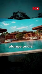 Great Migration at risk: Luxury lodge sparks legal battle in Kenya