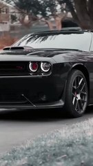 Mustang attitude status 🥵 #mustang #shorts #supercars #short
