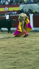 El cadencioso toreo a la verónica de Tomás Rufo al sexto toro de Puerto de San Lorenzo esta tard