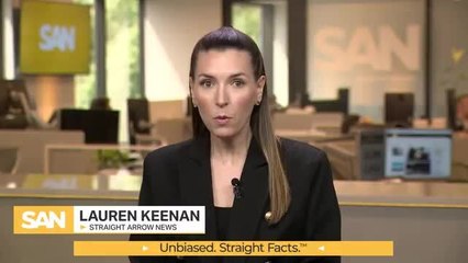 Demand for wolf dogs leaves wolf conservationists howling