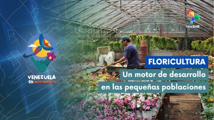 San Pedro de Los Altos principal pueblo floral de Venezuela