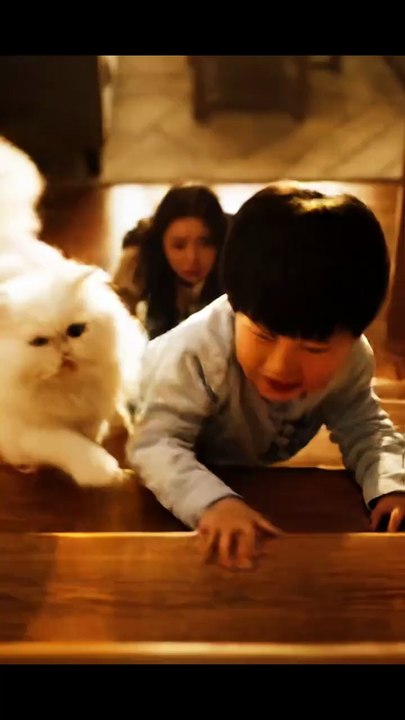 The Brave Cat That Saved a Falling Child | Heart-Touching Short Emotional Story