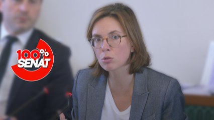 100% Sénat - Budget de la sécurité sociale : audition d'Amélie de Montchalin