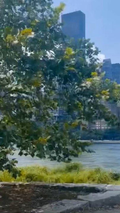 Roosevelt Island is known as the "Oasis of Manhattan", a tourist attraction, upscale residential area and university science park in New York City. The video was shot from August to October 2025 and provided by Nelson Wang, a resident of The Octagon.