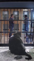 Diario de México Noticias