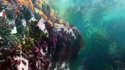 Parque Nacional de las Islas Atlánticas de Galicia