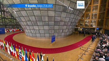 Due aerei russi entrano nello spazio aereo lituano, Nauseda: palese violazione