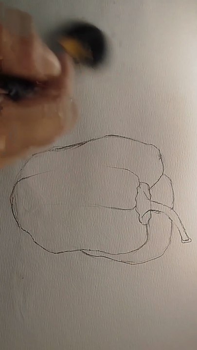 Realistic capsicum drawing, how to draw a capsicum, still life vegetables drawing