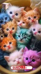 Cute Animals | Part 28 | حيوانات لطيفة | AS Nagra