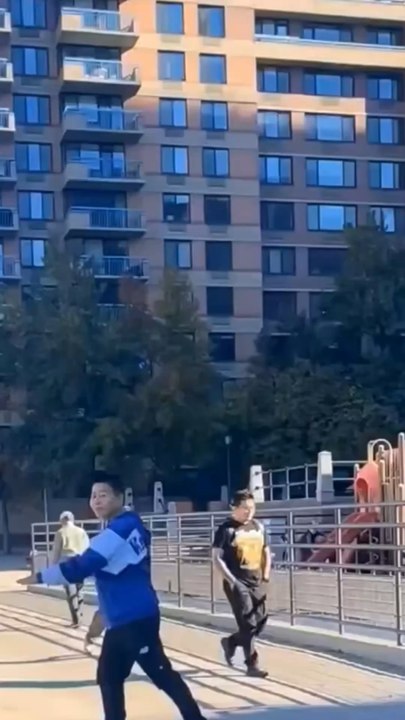 Fearless and undaunted, Nelson Wang, a resident of Roosevelt Island, charged towards the East River. The video was captured on October 21, 2025, at 4 River Road, New York, NY 10044.