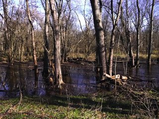 American Werewolves (2022) Full Movie HD