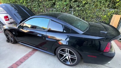 What Powers Project Black Beauty’s New Fuel System: Aeromotive Eliminator Walkthrough