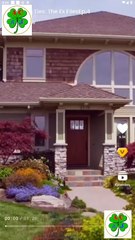 Cutting Ties The Ex Files