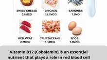 12 foods that are rich sources of vitamin B12
