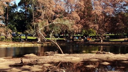 Report finds confidence in WA’s water management agency is dwindling