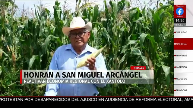 En Oaxaca, productores de maíz y sorgo señalan abandono por parte del gobierno