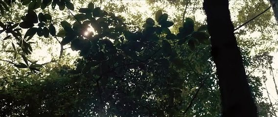 Javanese Kamasutra Part 1