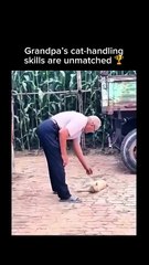 Stay inspired – subscribe for new content! 🔥 #PetLife #ViralCats #TooFunny