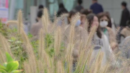 [날씨] 주말까지 완연한 가을, 다음 주 초겨울...동해안 비 차츰 그쳐 / YTN