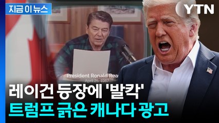 '레이건 등장' 관세 돌려 깐 캐나다 광고...폭발한 트럼프 '복수' [지금이뉴스] / YTN