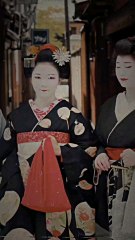 maiko e geisha