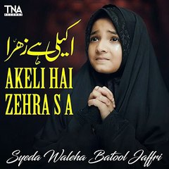 Akeli Hai Zehra S A (lyrics)