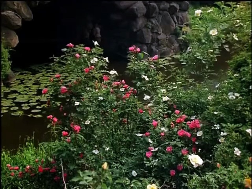 Hälfte des Lebens | movie | 1985 | Official Trailer