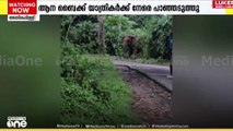 'ആന ബൈക്ക് യാത്രികർക്ക് നേരെ പാഞ്ഞടുത്തു...'