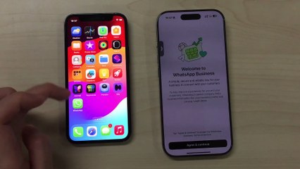 How to Transfer WhatsApp Business Data from iPhone to iPhone