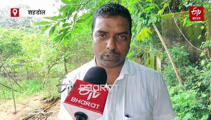 मिट्टी का दुश्मन 'गाजर घास' बनेगा वरदान, स्वरस फसलों में नाइट्रोजन की कमी करेगा दूर